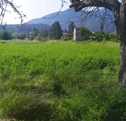 Photo 2 — Plot in Oblast Kyustendil, Sapareva Banya