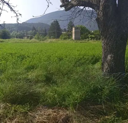 Photo 4 — Plot in Oblast Kyustendil, Sapareva Banya