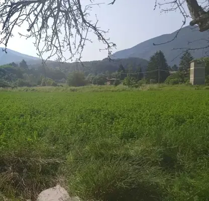 Photo 5 — Plot in Oblast Kyustendil, Sapareva Banya