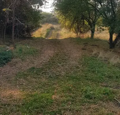 Photo 4 — Plot in Oblast Kyustendil, Sapareva Banya
