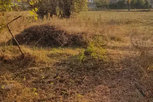 Plot in Oblast Kyustendil, Sapareva Banya