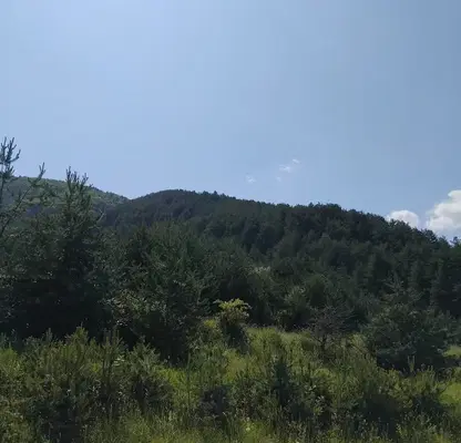 Photo 4 — Plot in Oblast Kyustendil, Sapareva Banya