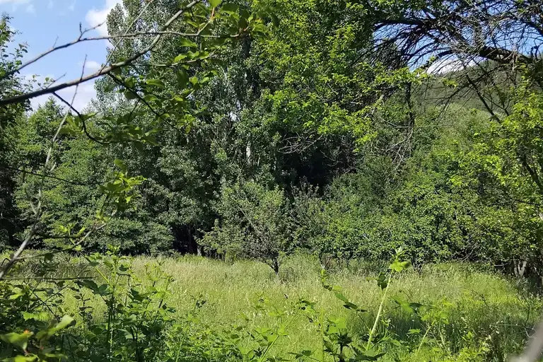 Plot in Oblast Kyustendil, Sapareva Banya