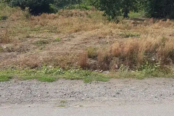 Plot in Oblast Kyustendil, Sapareva Banya