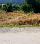 Парцел в Кюстендил, Сапарева баня