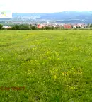 Парцел в Кюстендил, Сапарева баня