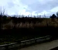 Снимка 2 — Парцел в Кюстендил, Сапарева баня