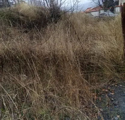 Photo 3 — Plot in Oblast Kyustendil, Sapareva Banya