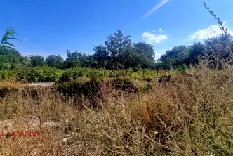 Парцел в Кюстендил, Сапарева баня