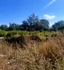 Парцел в Кюстендил, Сапарева баня