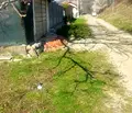 Снимка 3 — Парцел в Кюстендил, с. Баланово