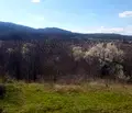 Снимка 4 — Парцел в Кюстендил, с. Баланово
