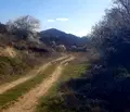 Снимка 5 — Парцел в Кюстендил, с. Баланово