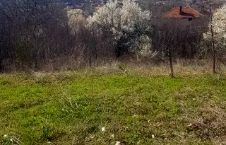 Парцел в Кюстендил, с. Баланово
