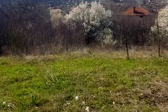 Парцел в Кюстендил, с. Баланово
