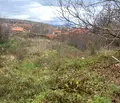 Снимка 2 — Парцел в Кюстендил, с. Баланово