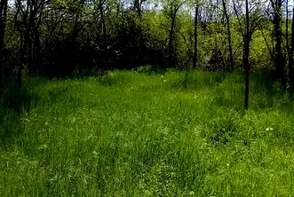 Парцел в Кюстендил, с. Бараково