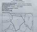 Снимка 2 — Парцел в Кюстендил, с. Богослов