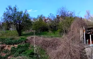 Парцел в Кюстендил, с. Дяково
