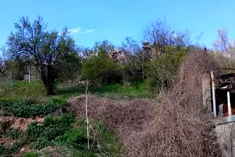 Парцел в Кюстендил, с. Дяково