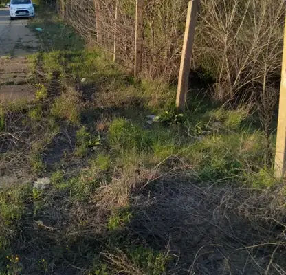 Photo 2 — Plot in Oblast Kyustendil, Golemo Selo