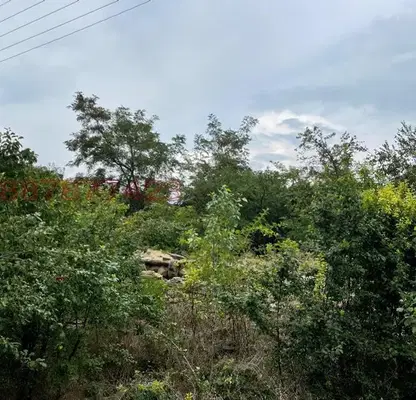 Photo 2 — Plot in Kyustendil, Golyam Vyrbovnik