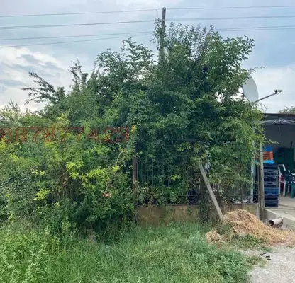 Photo 3 — Plot in Kyustendil, Golyam Vyrbovnik