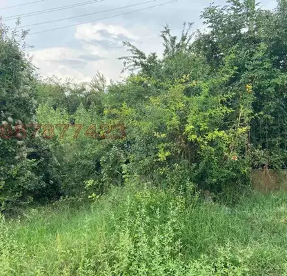 Photo 4 — Plot in Kyustendil, Golyam Vyrbovnik