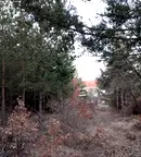 Парцел в Кюстендил, с. Каменик