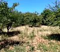 Снимка 2 — Парцел в Кюстендил, с. Крайници