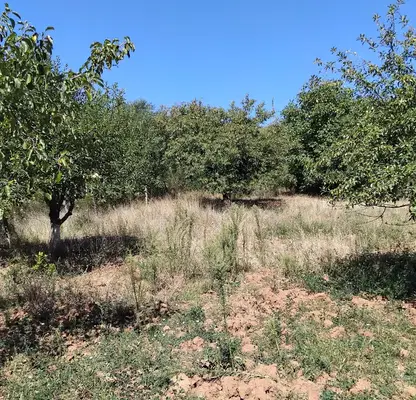 Photo 2 — Plot in Oblast Kyustendil, Krainici