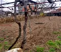 Снимка 3 — Парцел в Кюстендил, с. Крайници