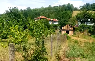 Парцел в Кюстендил, с. Мламолово
