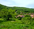 Снимка 4 — Парцел в Кюстендил, с. Мурсалево