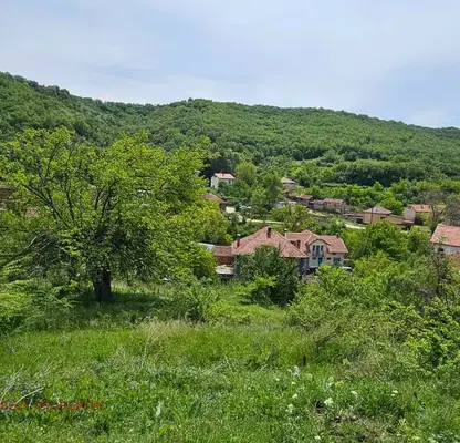 Снимка 4 — Парцел в Кюстендил, с. Мурсалево