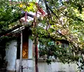 Снимка 2 — Парцел в Кюстендил, с. Неделкова Гращица