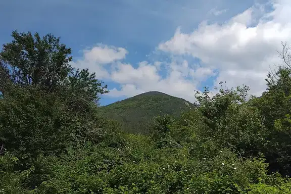 Plot in Oblast Kyustendil, Ovcharci