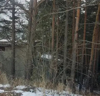 Снимка 3 — Парцел в Кюстендил, с. Паничище