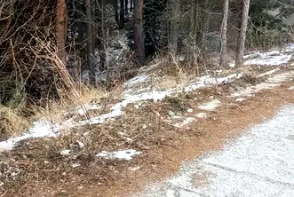 Парцел в Кюстендил, с. Паничище