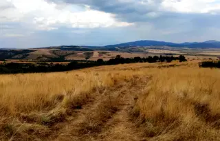Парцел в Кюстендил, с. Пиперево