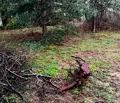Снимка 3 — Парцел в Кюстендил, с. Ресилово