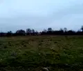Снимка 2 — Парцел в Кюстендил, с. Самораново