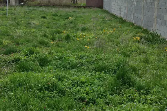 Plot in Oblast Kyustendil, Samoranovo