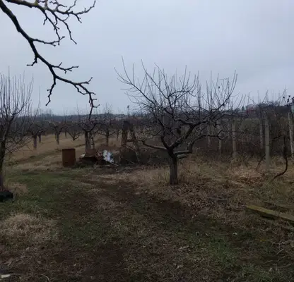 Photo 2 — Plot in Oblast Kyustendil, Samoranovo