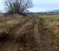 Снимка 3 — Парцел в Кюстендил, с. Самораново