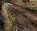 Снимка 4 — Парцел в Кюстендил, с. Самораново