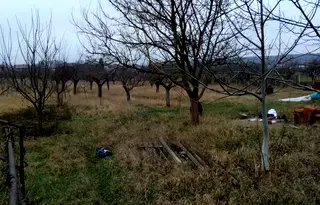 Парцел в Кюстендил, с. Самораново