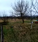 Парцел в Кюстендил, с. Самораново