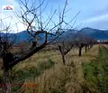Снимка 3 — Парцел в Кюстендил, с. Самораново