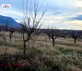 Снимка 4 — Парцел в Кюстендил, с. Самораново
